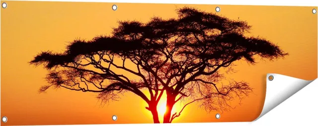 Gards Tuinposter Zonsondergang Achter een Savanne Boom - 120x40 cm - Tuindoek - Tuindecoratie - Wanddecoratie buiten - Tuinschilderij Multikleur