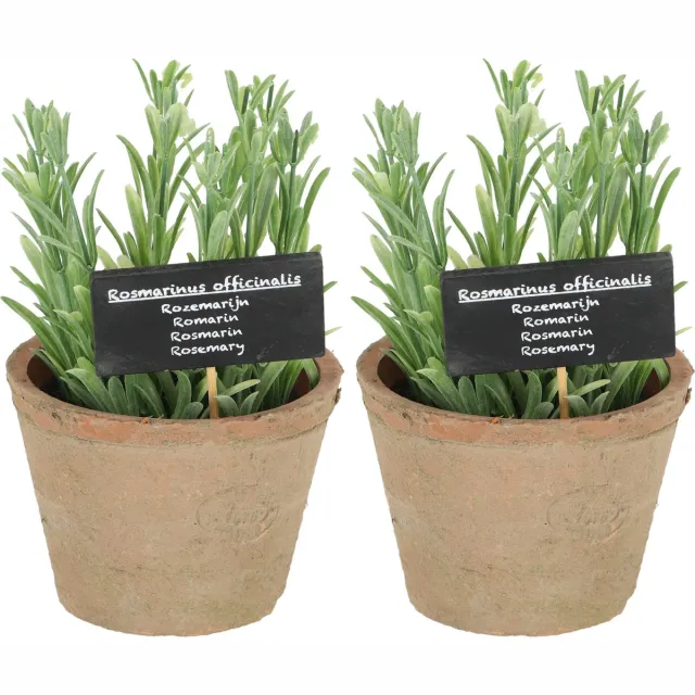 True to Nature Esschert Design Kunstplant/kruiden rosemarijn - 2x - in oude terracotta pot - 18 cm - kruiden Terracotta bruin