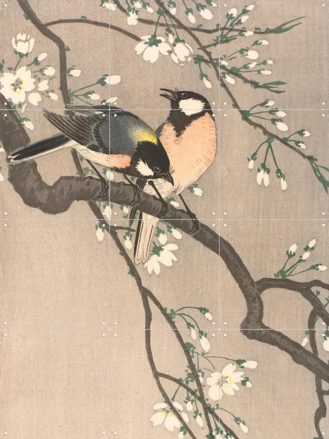 IXXI Koolmezen op bloesemtak, Ohara Koson & Rijksmuseum - 60 x 80 cm - Grote wanddecoratie en posters - Houtsnede, Ukiyo-e, Klassiek, Woonkamer Pastel kleuren / Wit
