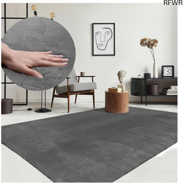 RFWR Moderne Pluizige Kortpolige Tapijt - Antislip en Wasbaar tot 30 Graden - Superzacht Bontlook - Antraciet 80 x 150 cm