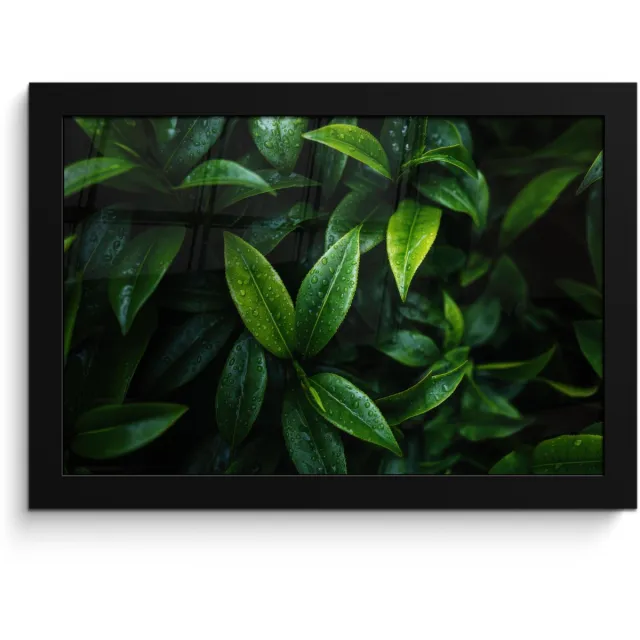 FrameYourWall Poster in lijst - Fotolijst 30x20 cm - Posters - Bladeren - Regendruppels - Licht - Groen - Posterlijst zwart - Decoratie - Wanddecoratie woonkamer - Muurdecoratie slaapkamer