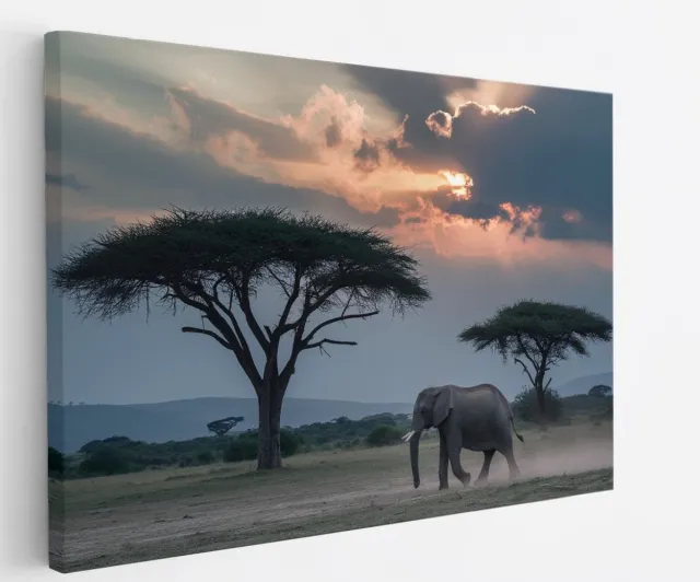 Saammp Canvas Schilderij - Olifant - Savanne - Dieren - 150x100 - Foto op canvas - Wanddecoratie - muurdecoratie Woonkamer - Slaapkamer decoratie - Canvas Print Multicolor