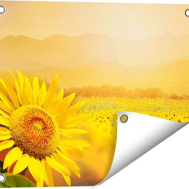 Gards Tuinposter Zonnebloemen Veld met Zonopkomst - 50x40 cm - Tuindoek - Tuindecoratie - Wanddecoratie buiten - Tuinschilderij Multikleur