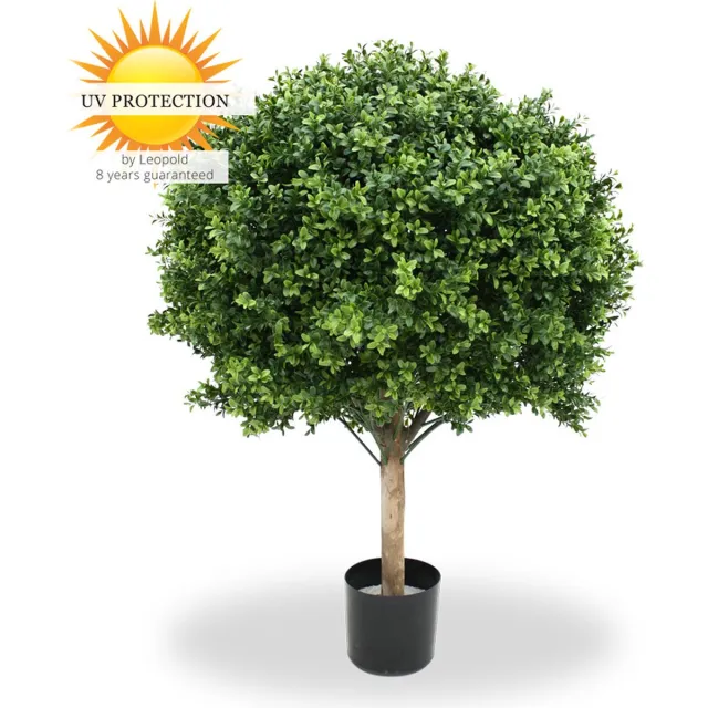 LeopoldFlora Grote Kunst Buxus Bol 80 Groen