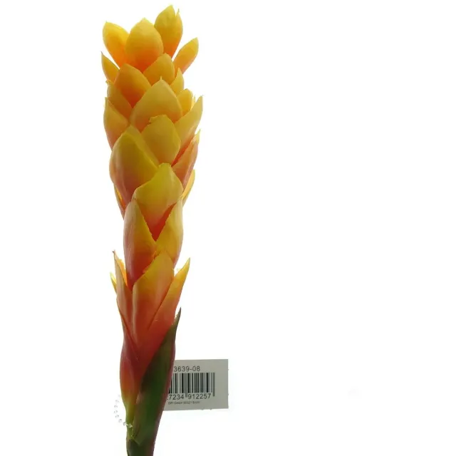 DPI gemberbloem oranje en rood 80 cm - kunstbloem Multicolor