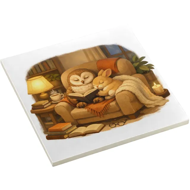 Mr Cadeautjes Decoratie tegel Een stille leeshoek met een uil en een konijn op een comfort - 10,8 x 10,8 cm, keramiek - keuken, badkamer, woonkamer | cadeau Wit