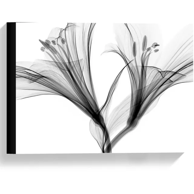 KuijsFotoprint Canvas - Grijs Figuur - 40x30cm Foto op Canvas Schilderij (Wanddecoratie op Canvas) Wit