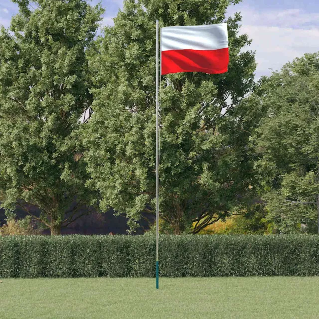 vidaXL Vlag met vlaggenmast Polen 6,08 m aluminium Rood