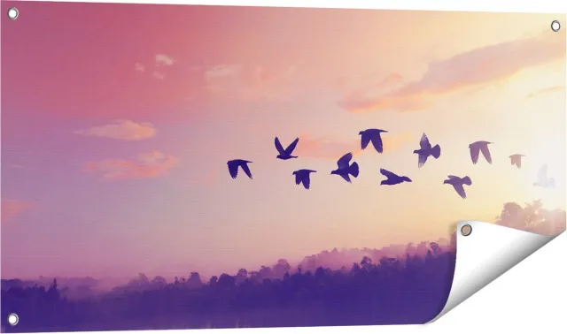 Gards Tuinposter Silhouet Vogels tijdens Zonsondergang - 100x50 cm - Tuindoek - Tuindecoratie - Wanddecoratie buiten - Tuinschilderij Multikleur