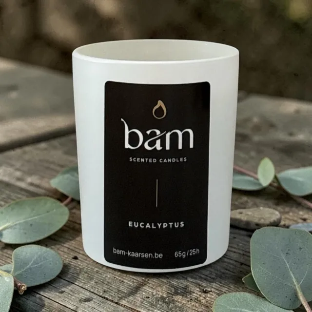 Bam Mini Eucalyptus Geurkaars – Eucalyptus Kaars met Houten Wiek – Vegan Geurkaars van Zonnebloemwas – 25 Branduren – Handgemaakt in België wit