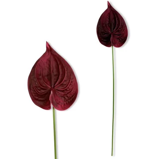 Inspiruj Kunstbloem - Bordo - 57 cm - Piankowy Anturium Bordeaux