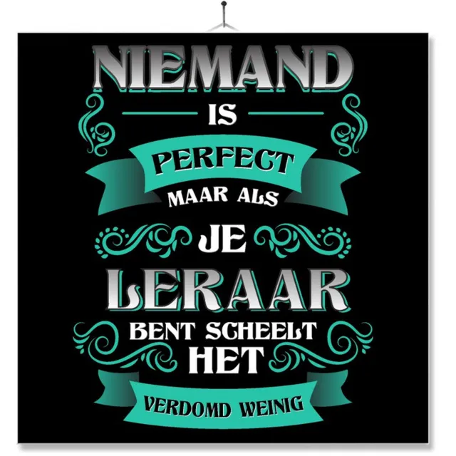 MC Living Tegel Met Opdruk | Kado | Cadeau | Niemand Is Perfect | Beroep | Leraar Multi-Color