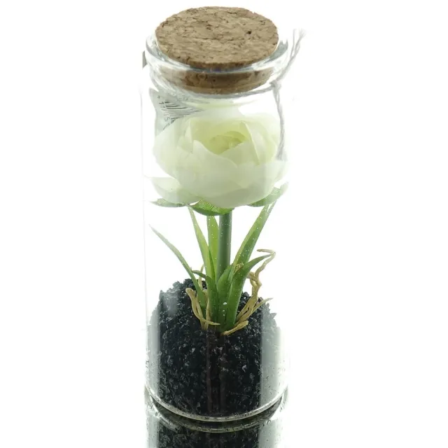 Gasper Ranonkel Wit in Glas met Deksel 12,5 cm - Kunstplant
