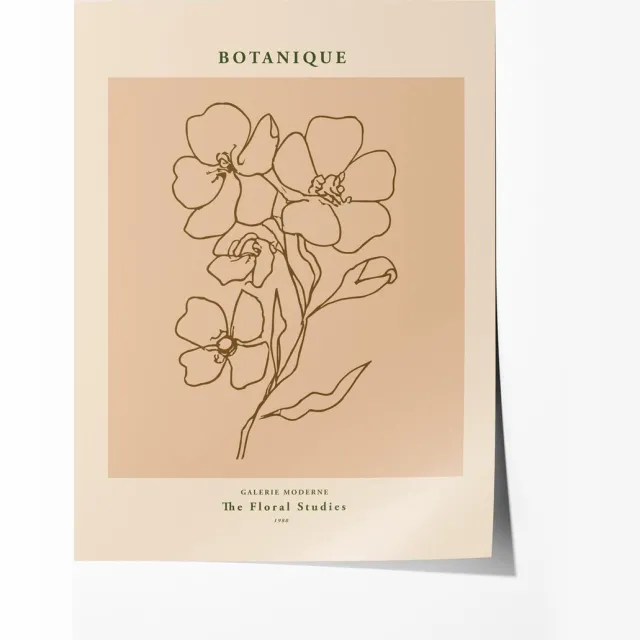 Botaniq Bloemenstudie Poster - Poster 80x120 cm - Sfeervolle Wanddecoratie voor Woonkamer & Slaapkamer - Premium papier - zonder lijst Multicolor