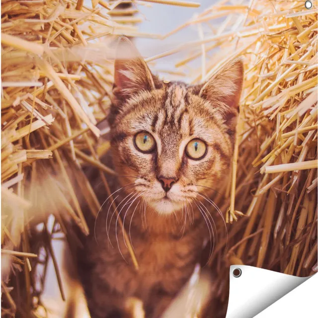 Gards Tuinposter Kat tussen de Stro Balen - 70x70 cm - Tuindoek - Tuindecoratie - Wanddecoratie buiten - Tuinschilderij Multikleur