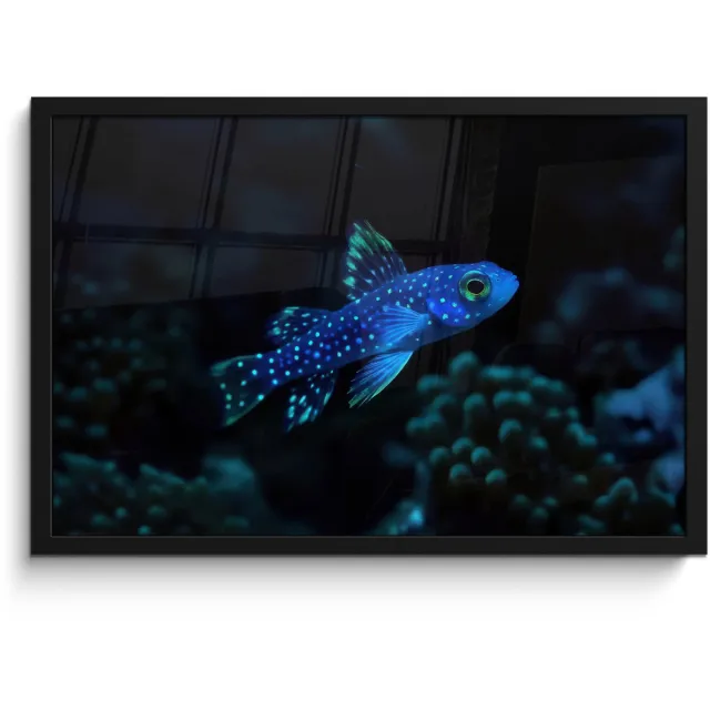 FrameYourWall Poster in lijst - Fotolijst 60x40 cm - Posters - Vis - Stippen - Koraal - Blauw - Posterlijst zwart - Decoratie - Wanddecoratie woonkamer - Muurdecoratie slaapkamer