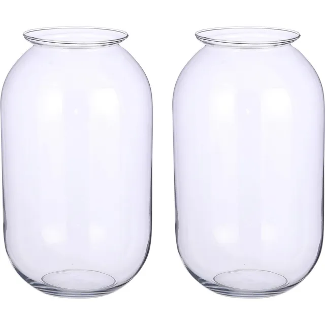 Mica Decorations Set van 2x stuks mica decorations bloemenvaas- transparant - van glas - d19 x h30 cm - boeketten - siertakken - 8.5 liter