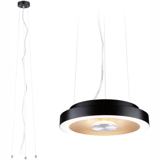 Paulmann LED-plafondlamp Volea 3000K 1300lm 230V 4W / 18,5W dimbaar Zwart, Goud, Zilver
