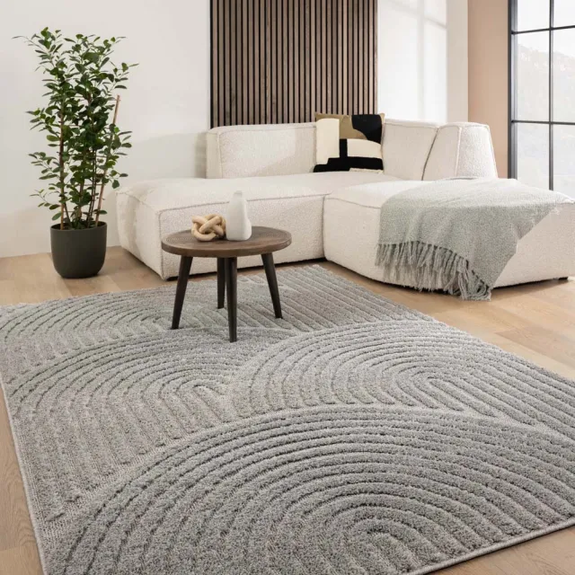 Tapeso Scandinavisch vloerkleed - Arc Curve lichtgrijs 240x340