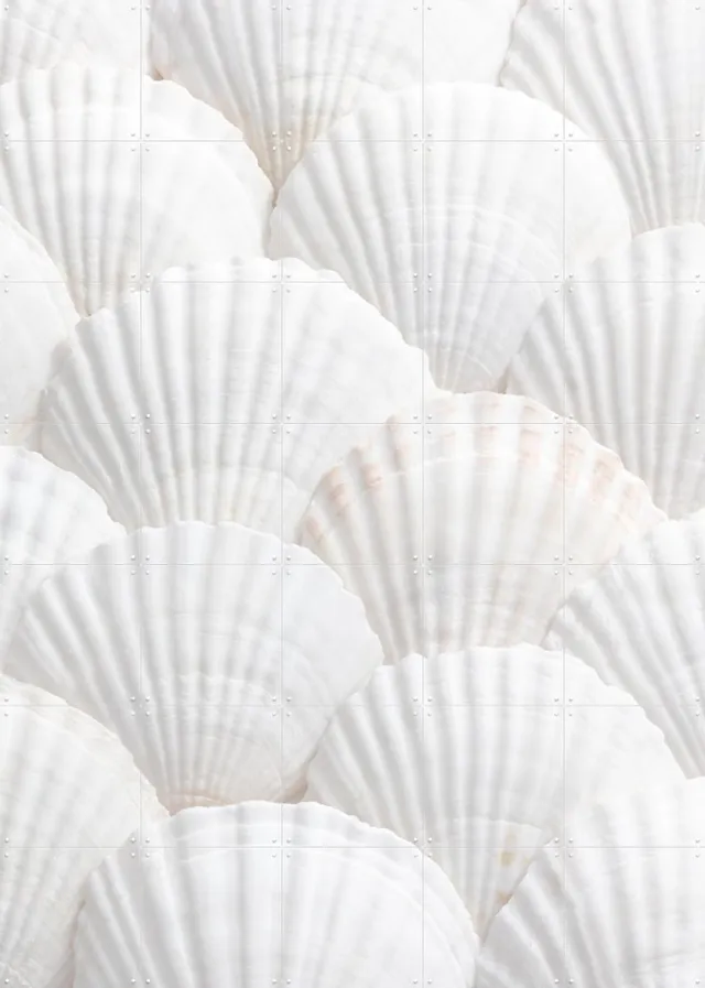 IXXI Seashell Symphony, 1x Studio II & Various - 100 x 140 cm - Grote wanddecoratie en posters - Modern, Abstract, Minimalisme, Geometrische Kunst Wit