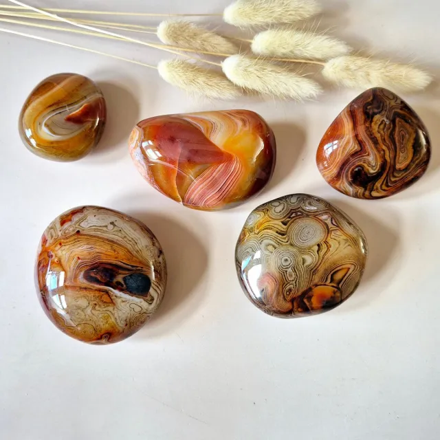 Moonlight Gemstones Sardonyx Palmsteen – Krachtige gepolijste steen voor balans en zelfvertrouwen (5–10 cm) Edelsteen