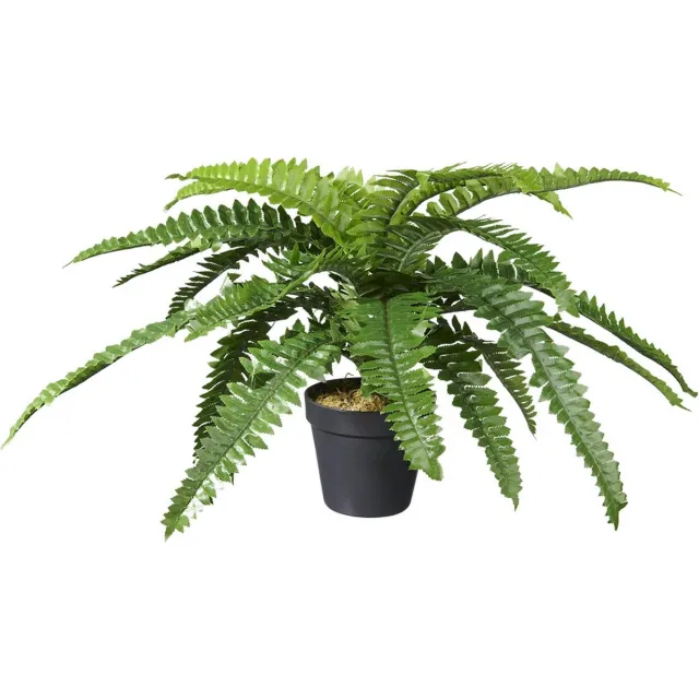 HTT Decorations Kunstplant Nephrolepis/Varen H35cm - HTT Decorations kunstplanten Groen
