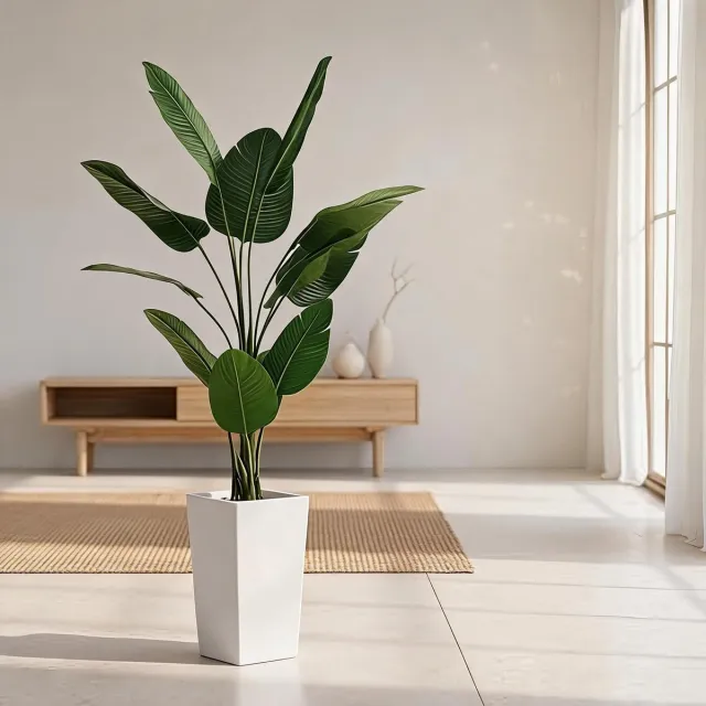 Danky Premium 5FT / 150cm Paradijsvogelplant - Exotische Vloerplant met Cementbasis