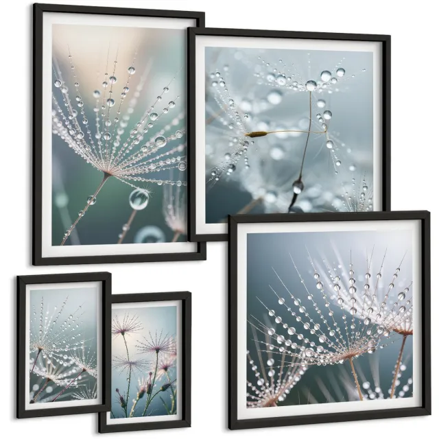Coloray 5-Delige Schilderij Set - Dauwdruppels Op Delicate Planten In Een Minimalistische Stijl - 50 x 50 cm, 20 x 30 cm En 40 x 60 cm - Wanddecoratie - Moderne Interieurdecoratie - Decoratieve Schilderijen zwarte lijst