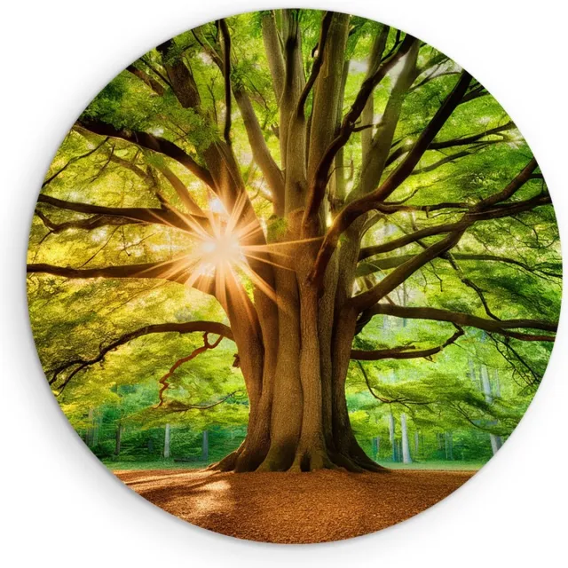 Saammp Muurcirkel Hout - Grote Boom met tijdens goldenhour - Natuur - Landschap - Ø 70 - Wandcirkel - Wanddecoratie Cirkel - Muurdecoratie Woonkamer - Slaapkamer decoratie - Rond Schilderij