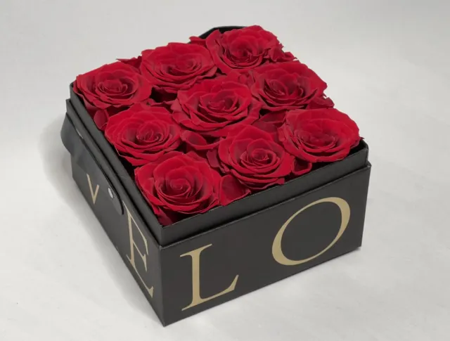 Tobeyz Echte Rozen - Valentijn cadeau - Rozen in Doos - Geschenk - Huwelijks geschenk - Moederdag Cadeau - Rode Roos - Droogbloemen Rood