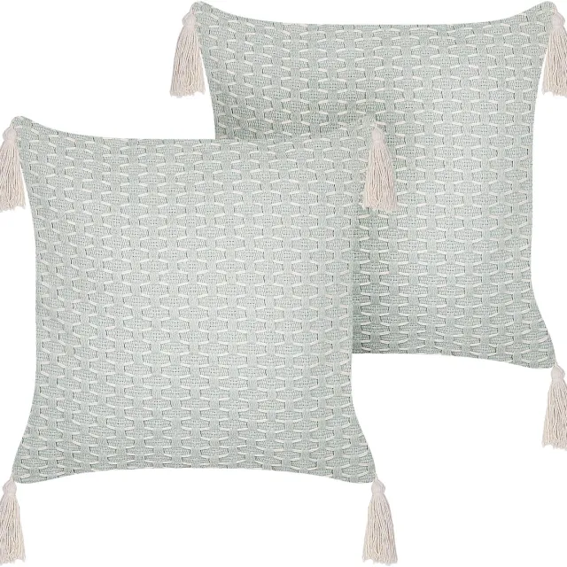 Beliani HAKONE - Set van 2 kussens - Mintgroen - 42 x 42 cm - Polyester