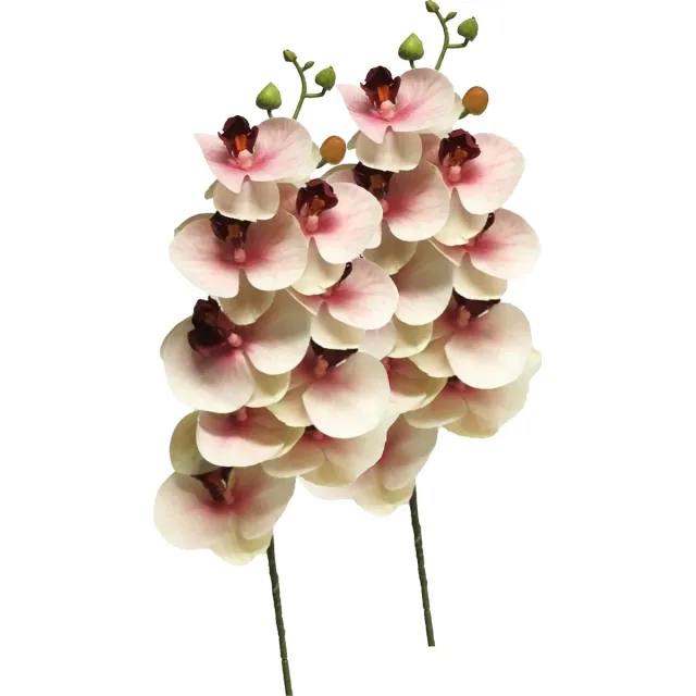 Bellatio Design Kunstbloem Orchidee Bora - 2x - roze - 77 cm - losse steel - kunst zijdebloem