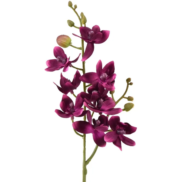 DPI GmbH Kleine orchidee Phalaenopsis kunstbloem donkerpaars 30cm