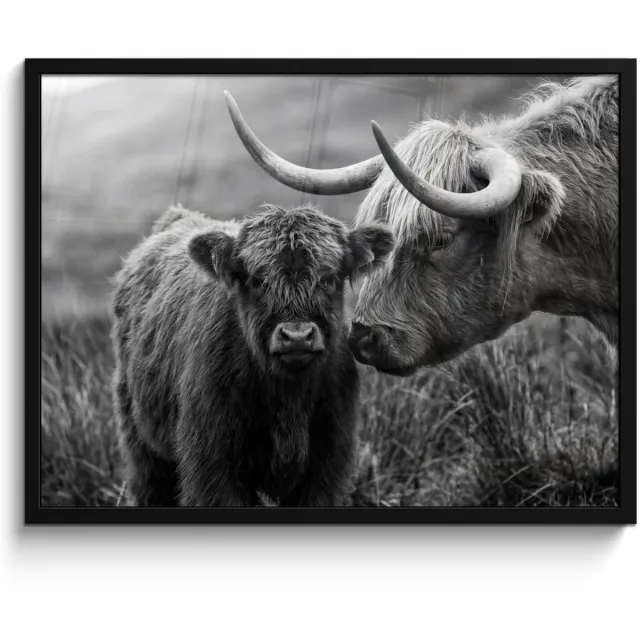FrameYourWall Poster in lijst - Fotolijst 80x60 cm - Posters - Schotse hooglander - Kalf - Zwart - Wit - Posterlijst zwart - Decoratie - Wanddecoratie woonkamer - Muurdecoratie slaapkamer