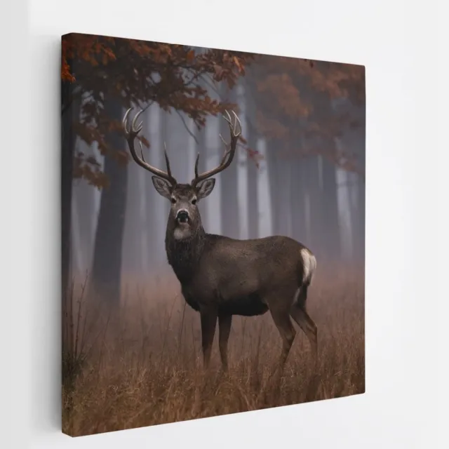 Saammp Canvas Schilderij - Hert bij een bos tijdens de herfst - Natuur - Dieren - 100x100 - Foto op canvas - Wanddecoratie - Muurdecoratie Woonkamer - Slaapkamer decoratie - Canvas Print Multicolor