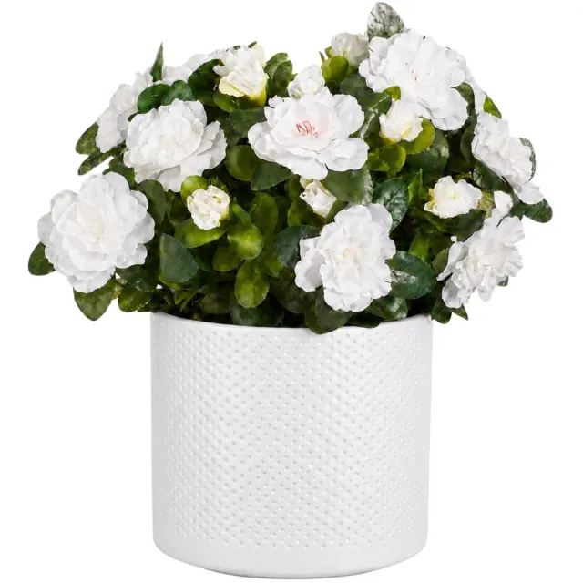 Mica Decorations Kunstplant - Azalea wit - H31 cm - in witte bloempot - keramiek - complete set van pot en plant - decoratie stuk