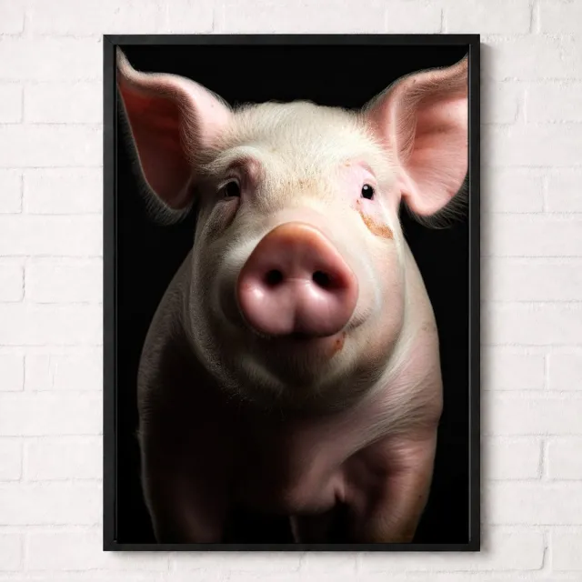 Kleurmedia Varken Poster - Boerderijdieren Collectie - Dieren Posters - A1+ 61 x 91,5 cm Roze
