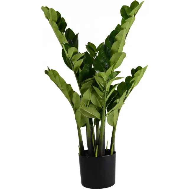 Lesliliving Zamioculcas 80 cm Groen