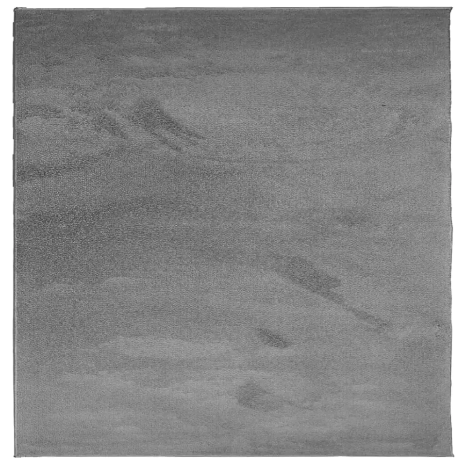 vidaXL Vloerkleed OVIEDO laagpolig 240x240 cm antracietkleurig, foto 3