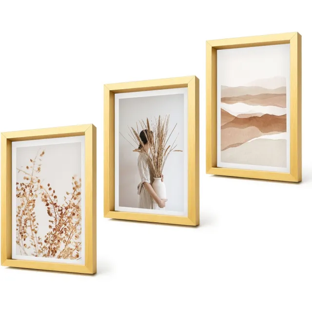 Coloray 4-Delige Schilderij Set - Abstracte plantmotieven in rustieke boho-stijl - 20 x 30 cm - Wanddecoratie - Schilderijen Set - Kantoor - Interieur Decoratie Gouden lijst