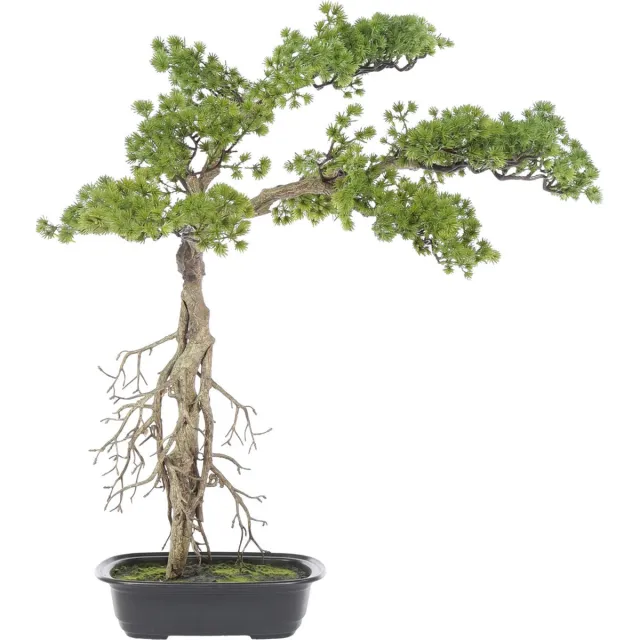 Kunstpalm Kunst Bonsaiboom Shikoku Hoog | 75cm - Namaak bonsaiboom shikoku - Kunstplanten voor binnen - Kunstplant bonsaiboom Shikoku Lichtgroen