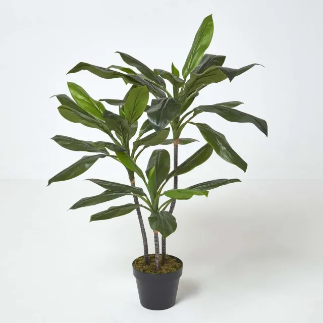 Homescapes Cordyline Fruticosa kunstplant in pot - 100 cm Groen