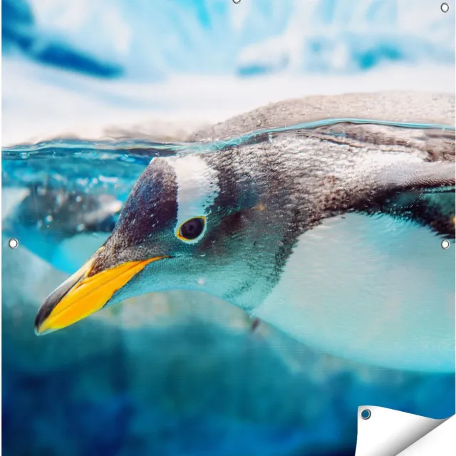 Gards Tuinposter Pingu�n Zwemt onder Water - 90x90 cm - Tuindoek - Tuindecoratie - Wanddecoratie buiten - Tuinschilderij Multikleur