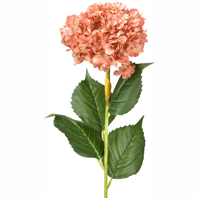 Viana Hortensia Roze 80cm 1 st