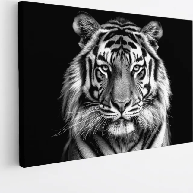 Saammp Canvas Schilderij - Tijger - Zwart-Wit - Portret - Natuur - Dieren - 100x75 - Foto op canvas - Wanddecoratie - muurdecoratie Woonkamer - Slaapkamer decoratie - Canvas Print Multicolor