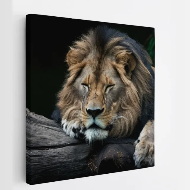 Saammp Canvas Schilderij - Leeuw op boomstronk - Dieren - Natuur - 20x20 - Foto op canvas - Wanddecoratie - Muurdecoratie Woonkamer - Slaapkamer decoratie - Canvas Print Multicolor