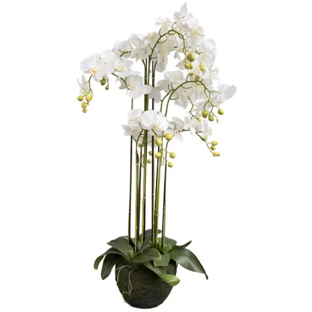 Oosterik Home Orchidee wit in pot H 120 cm kunstplant Oosterik Home onbekend