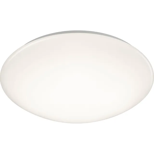 RL LIVE YOUR LIGHT REALITY POLLUX - Plafondlamp - Wit - incl. 1x SMD 15 W - Dimbaar met schakelaar