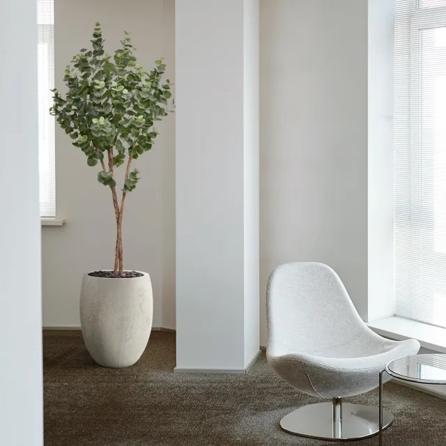 maxifleur Kunstplanten Eucalyptus Kunstboom op stam 170cm groen