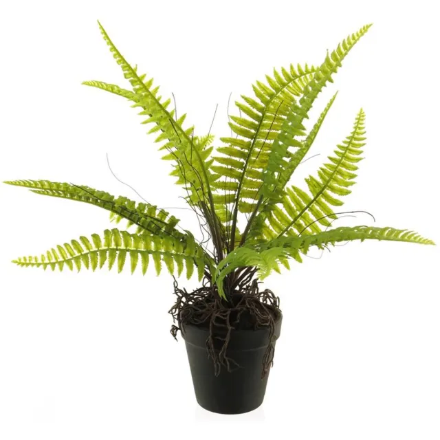 Erutan avon Boston fern in pot green 40 cm kunstbloemen Erutan Avon onbekend